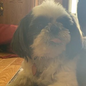 Meet your Posher, Cristina